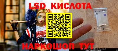 молекула духа Малоярославец
