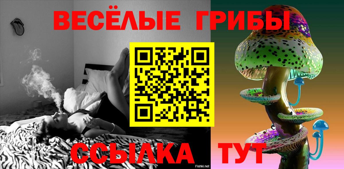 Псилоцибиновые грибы Psilocybine cubensis Добрянка