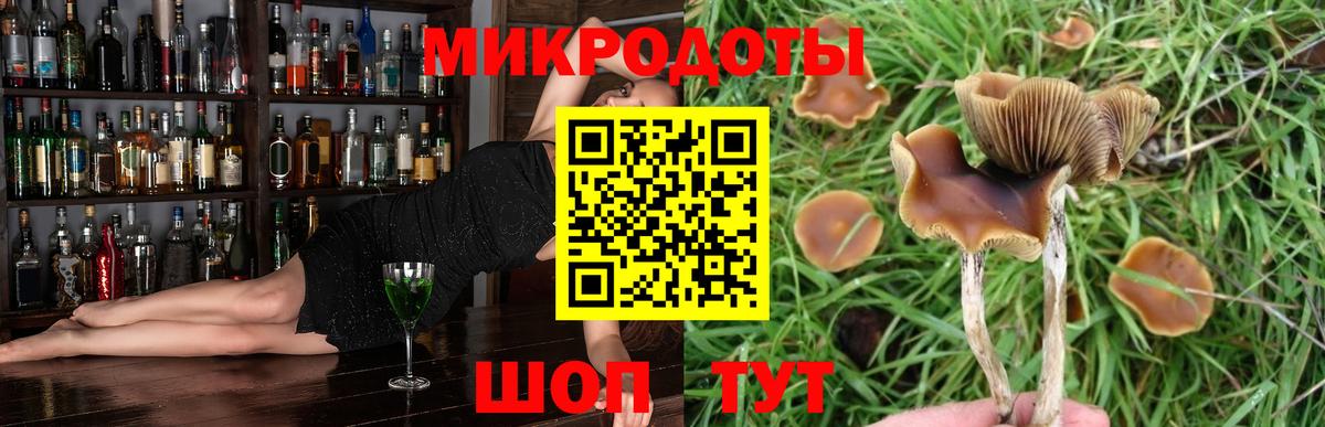 Добрянка  Галлюциногенные грибы прущие грибы  Галлюциногенные грибы Magic Shrooms  Вход с VPN 